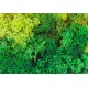 170729 FALLER - Muschio lichene colorato 50 gr.