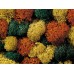 08630 NOCH - Muschio lichene colorato 