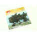 1160 HEKI - Set di tre alberi di mele 8 cm