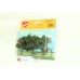 1160 HEKI - Set di tre alberi di mele 8 cm