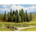 32611 NOCH - Mix Alberi misti