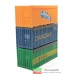 00383 DI - ROCO Set di tre container (20 FT) 1/87