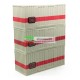 00387 DI - FLEISCHMANN Set di tre container DB (20 FT) 1/87