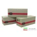 00387 DI - FLEISCHMANN Set di tre container DB (20 FT) 1/87
