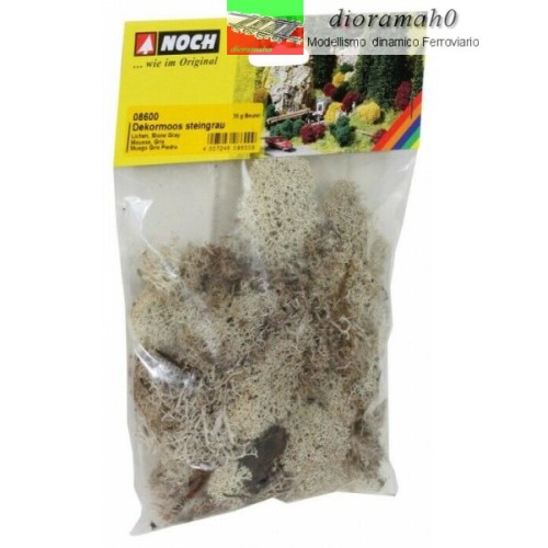 08600 NOCH - Muschio lichene grigio militare