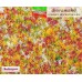 76937 AUHAGEN - Fiori "multicolori" 76937 AUHAGEN - Fiori "multicolori"