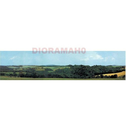 42512 AUHAGEN - Fondale paesaggio pianura 