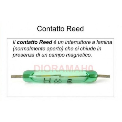 Reed relè ad ampolla contatto magnetico