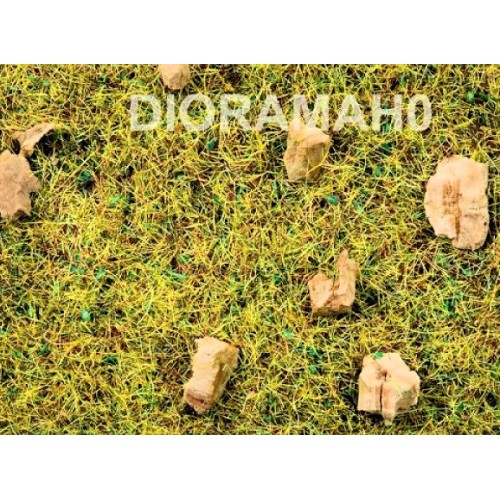 08160 NOCH - Manto erboso ERBA di montagna 2,5 mm BARATTOLO 120 gr 08160 NOCH - Manto erboso ERBA di montagna 2,5 mm BARATTOLO 120 gr