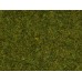 08312 NOCH - Manto erboso ERBA primaverile, prato di colore medio alto 2,5 mm 20 gr