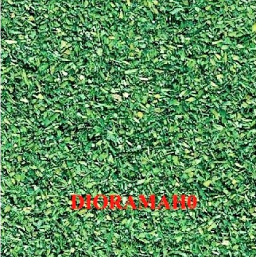 60802 AUHAGEN - Erba verde chiaro