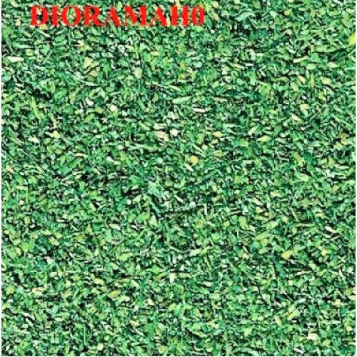 60803 AUHAGEN - Erba verde medio