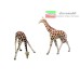 00628 PREISER - Coppia giraffe 1:87