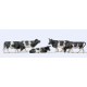 14155 PREISER - Set di mucche bicolore 5 pz 1/87