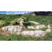 C1241 WOODLAND SCENICS - Stampo in gomma per creare rocce 